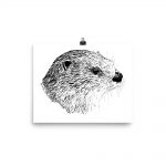 Pen & Ink River Otter Head Poster