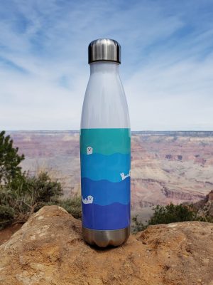 Ocean Otter Gradient water bottle standing on a rock at a canyon overlook