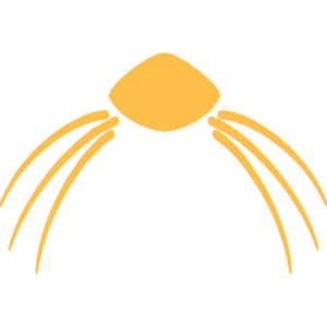 Orange abstract spider icon with curved legs on a white background