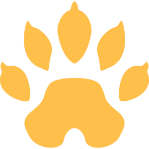 Orange paw print silhouette used as a pet logo or symbol of animals