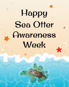 Illustration of a sea otter holding a baby otter in water, with “Happy Sea Otter Awareness Week” written above and starfish on a sandy beach. Website: www.otterthings.com.